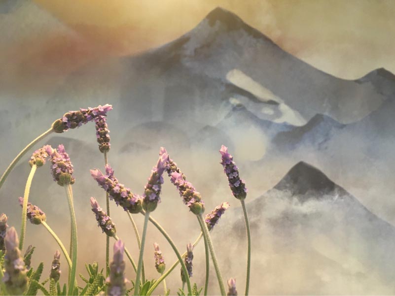 El-Cau-de-Ribes-Allotjament-22